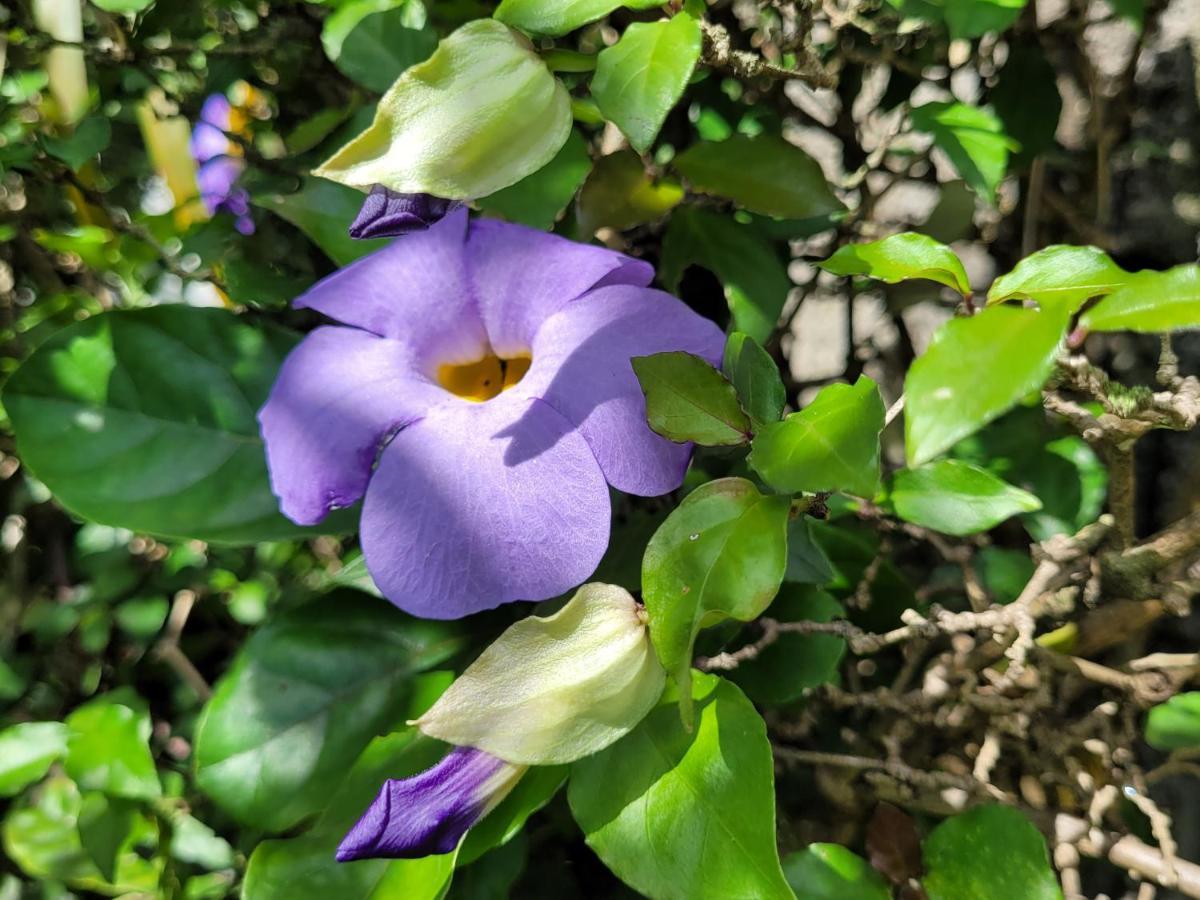 Villa Manaaki Saint-Paul エクステリア 写真